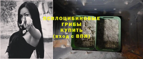 прущая мука Осинники