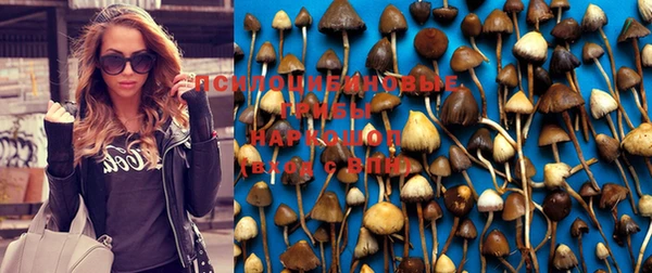 соль курить ск Всеволожск
